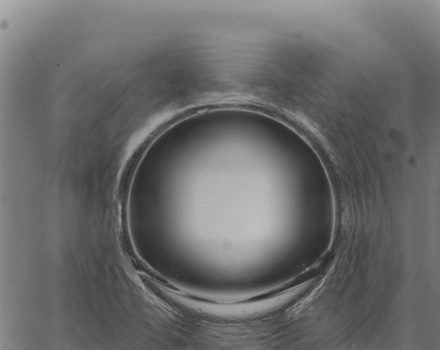 X0000066511414200603311718