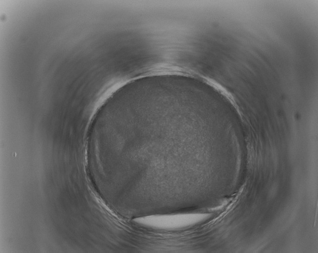 X0000066511415200603311718