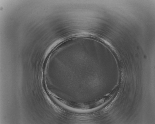 X0000066511418200603311718