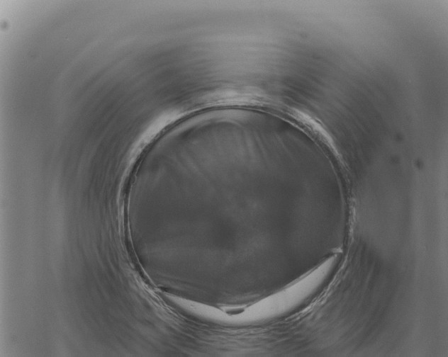 X0000066511419200603311718