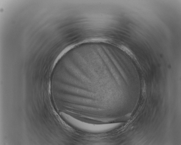 X0000066511420200603311718