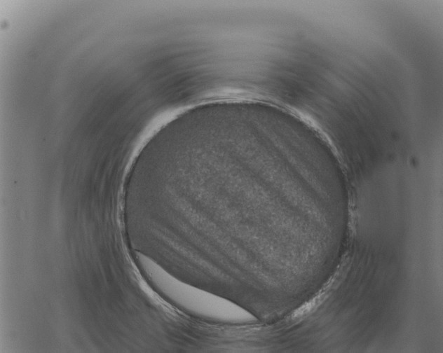 X0000066511421200603311718