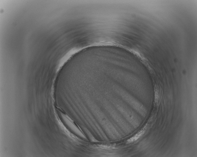 X0000066511422200603311718