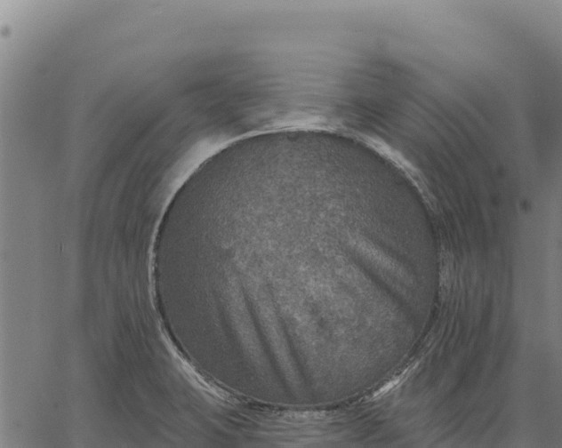 X0000066511423200603311718