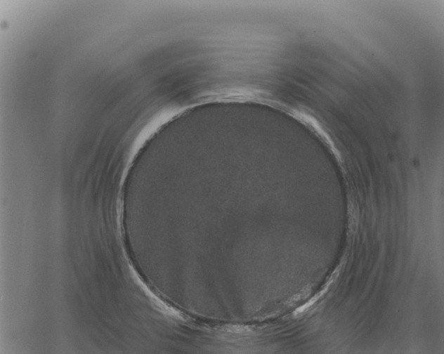 X0000066511424200603311718