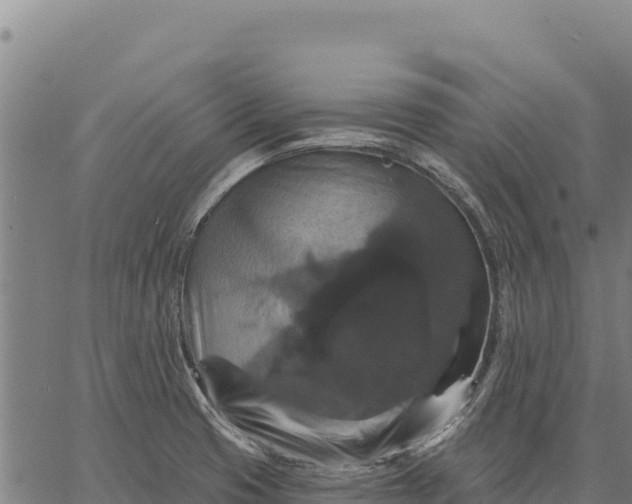 X0000066511425200603311718