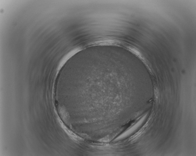 X0000066511426200603311718