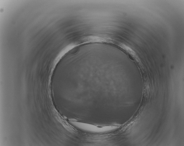 X0000066511427200603311718