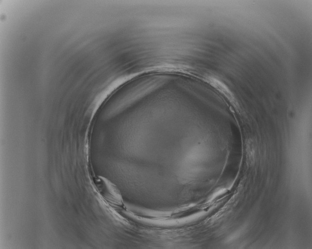 X0000066511428200603311718