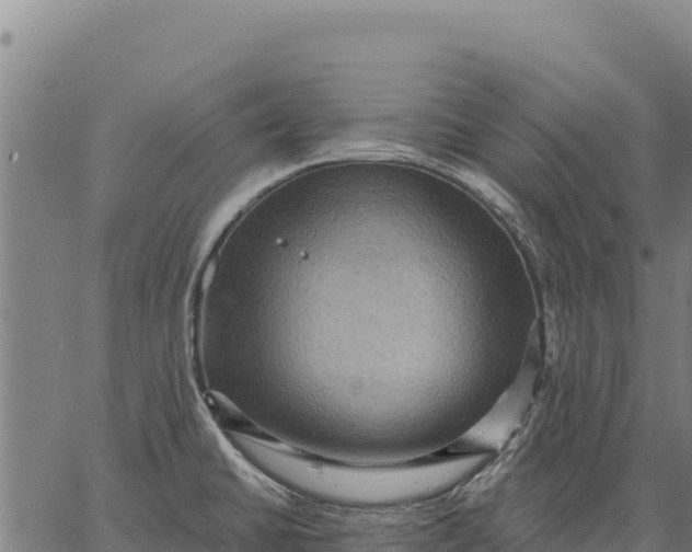 X0000066511430200603311718