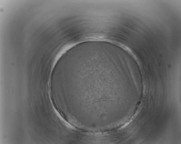 X0000066511432200603311718