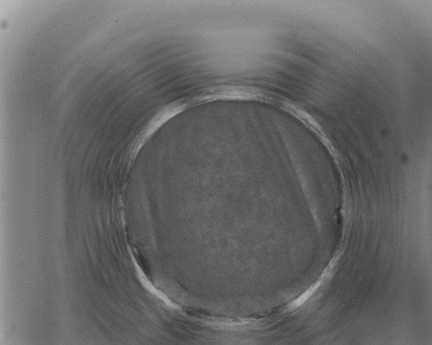 X0000066511433200603311718