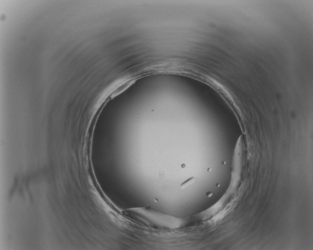 X0000066511434200603311718