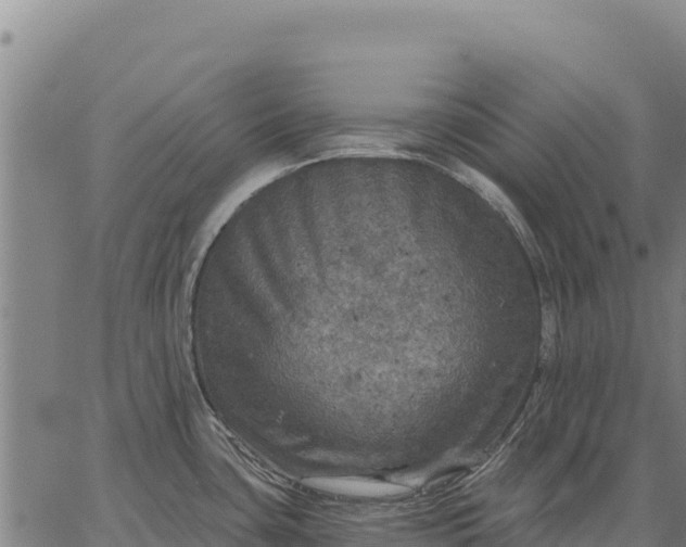 X0000066511435200603311718