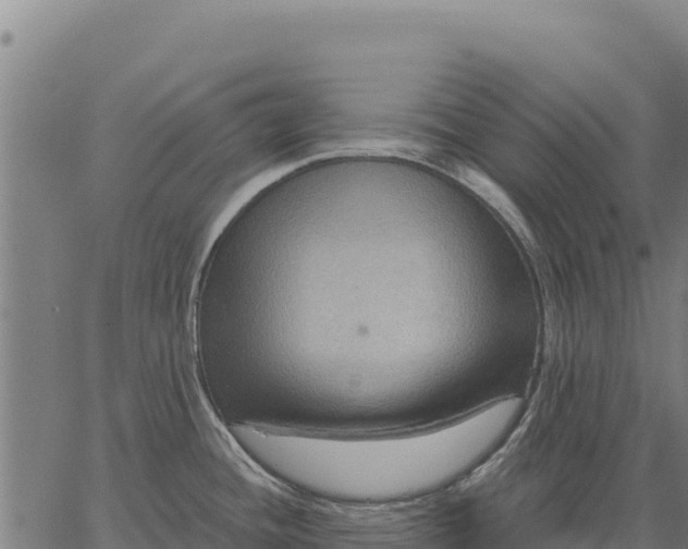 X0000066511436200603311718