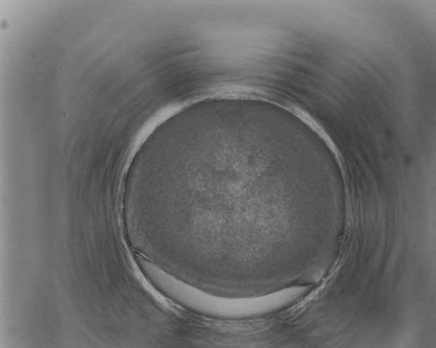 X0000066511437200603311718