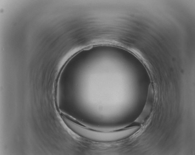 X0000066511438200603311718