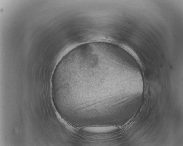 X0000066511439200603311718