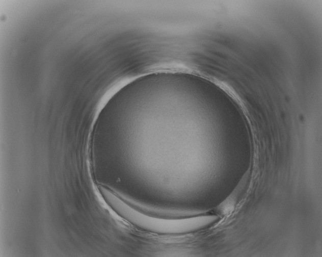 X0000066511440200603311718