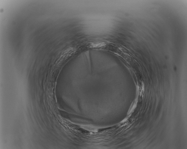 X0000066511441200603311718