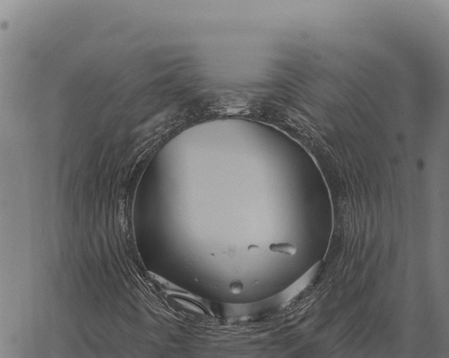 X0000066511442200603311718