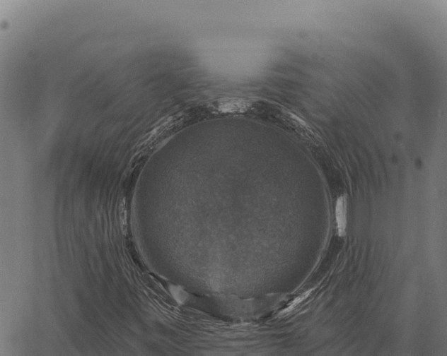 X0000066511443200603311718