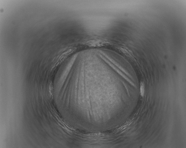 X0000066511444200603311717