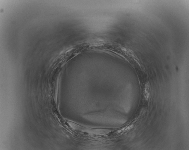 X0000066511445200603311717