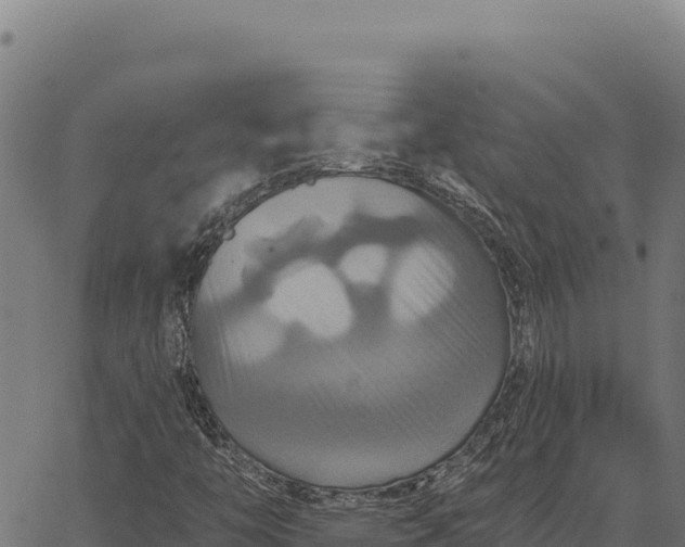 X0000066511446200603311717