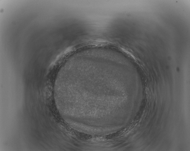 X0000066511447200603311717