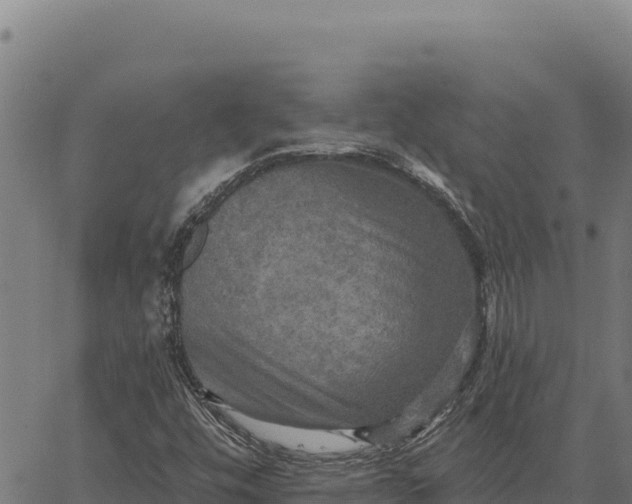 X0000066511448200603311717