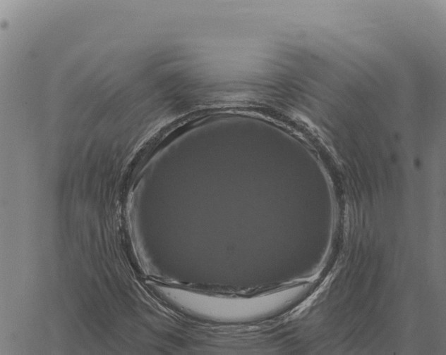 X0000066511449200603311717