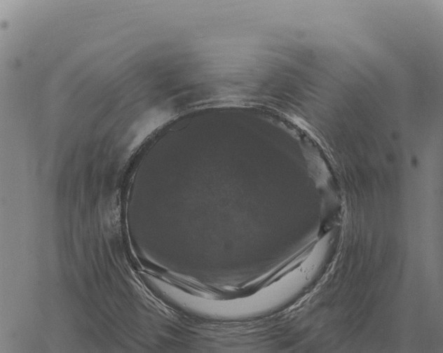 X0000066511450200603311717