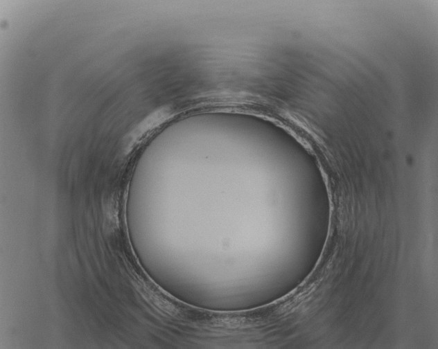 X0000066511451200603311717