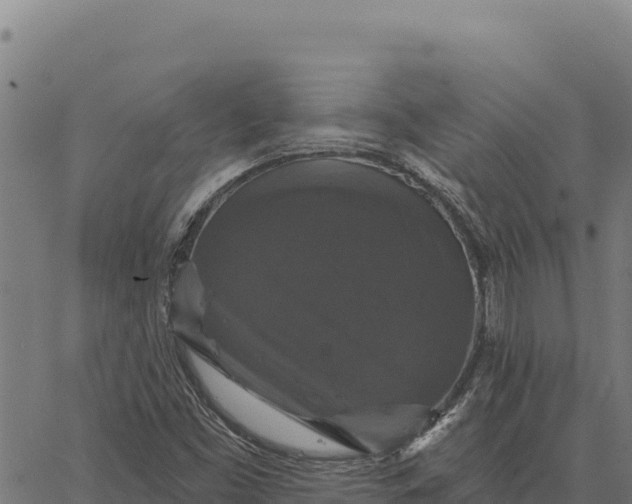 X0000066511453200603311717