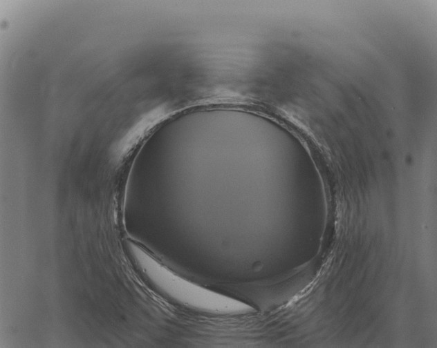 X0000066511455200603311717