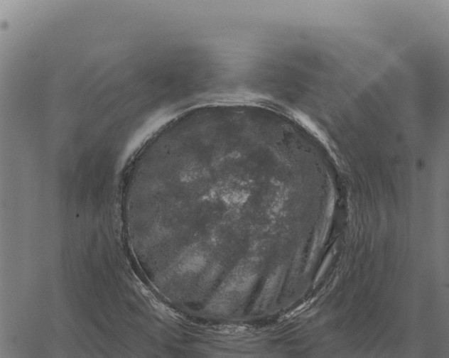 X0000066511456200603311717