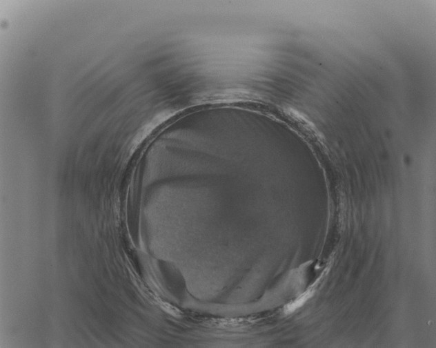 X0000066511457200603311717