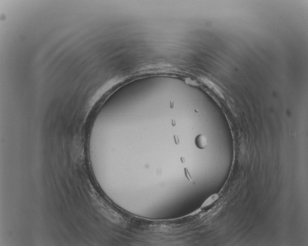 X0000066511458200603311717