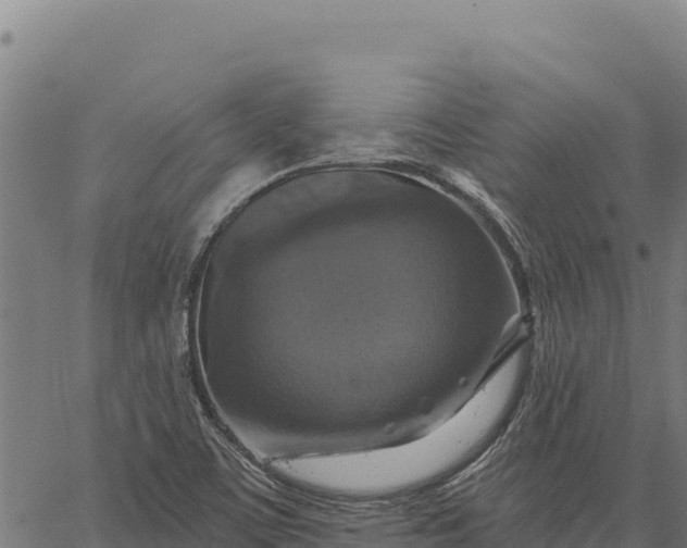 X0000066511459200603311717