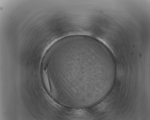 X0000066511460200603311717