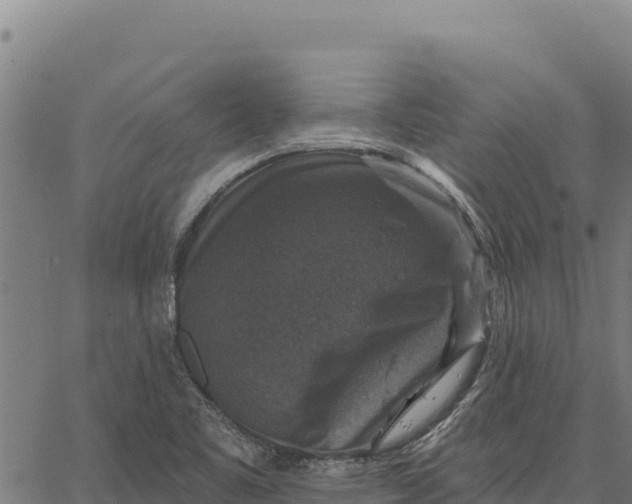 X0000066511461200603311717