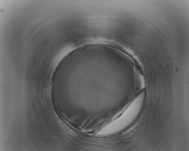 X0000066511463200603311717