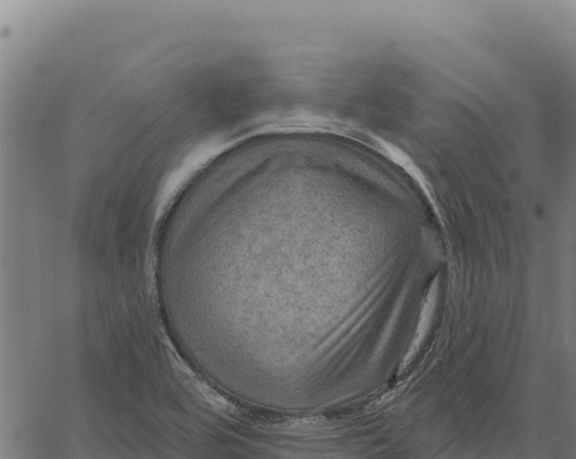 X0000066511464200603311717