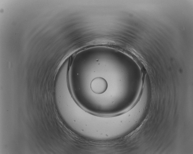 X0000066511465200603311717