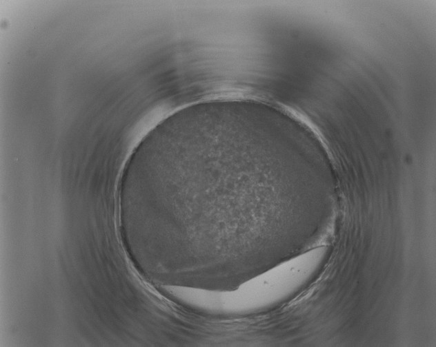 X0000066511467200603311717