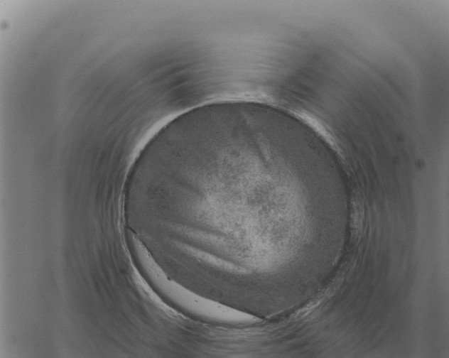 X0000066511468200603311717