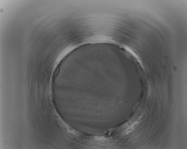 X0000066511469200603311717