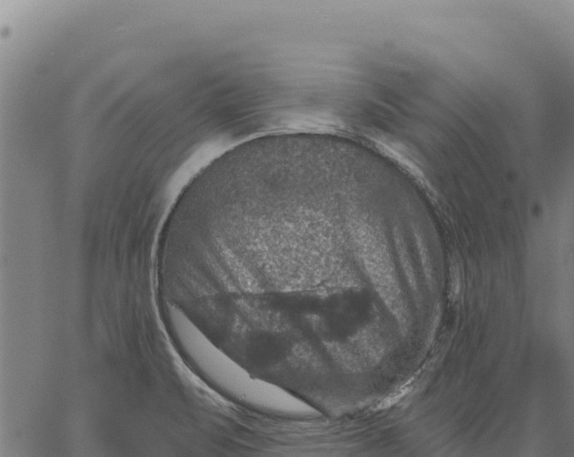 X0000066511471200603311717