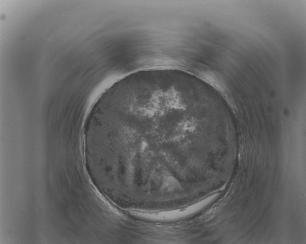 X0000066511472200603311717